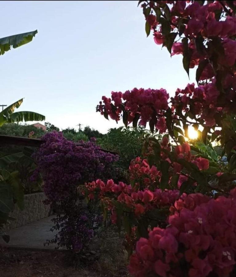 Holiday home Aglaia House Kouspades