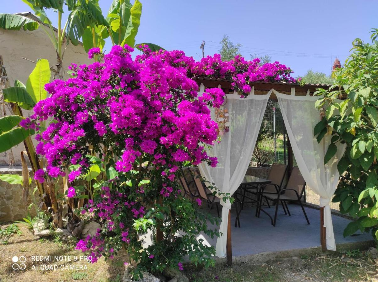 Aglaia House Holiday home Kouspades