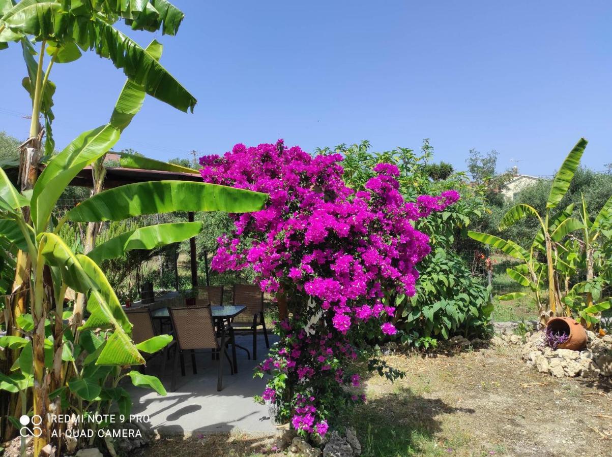 Aglaia House