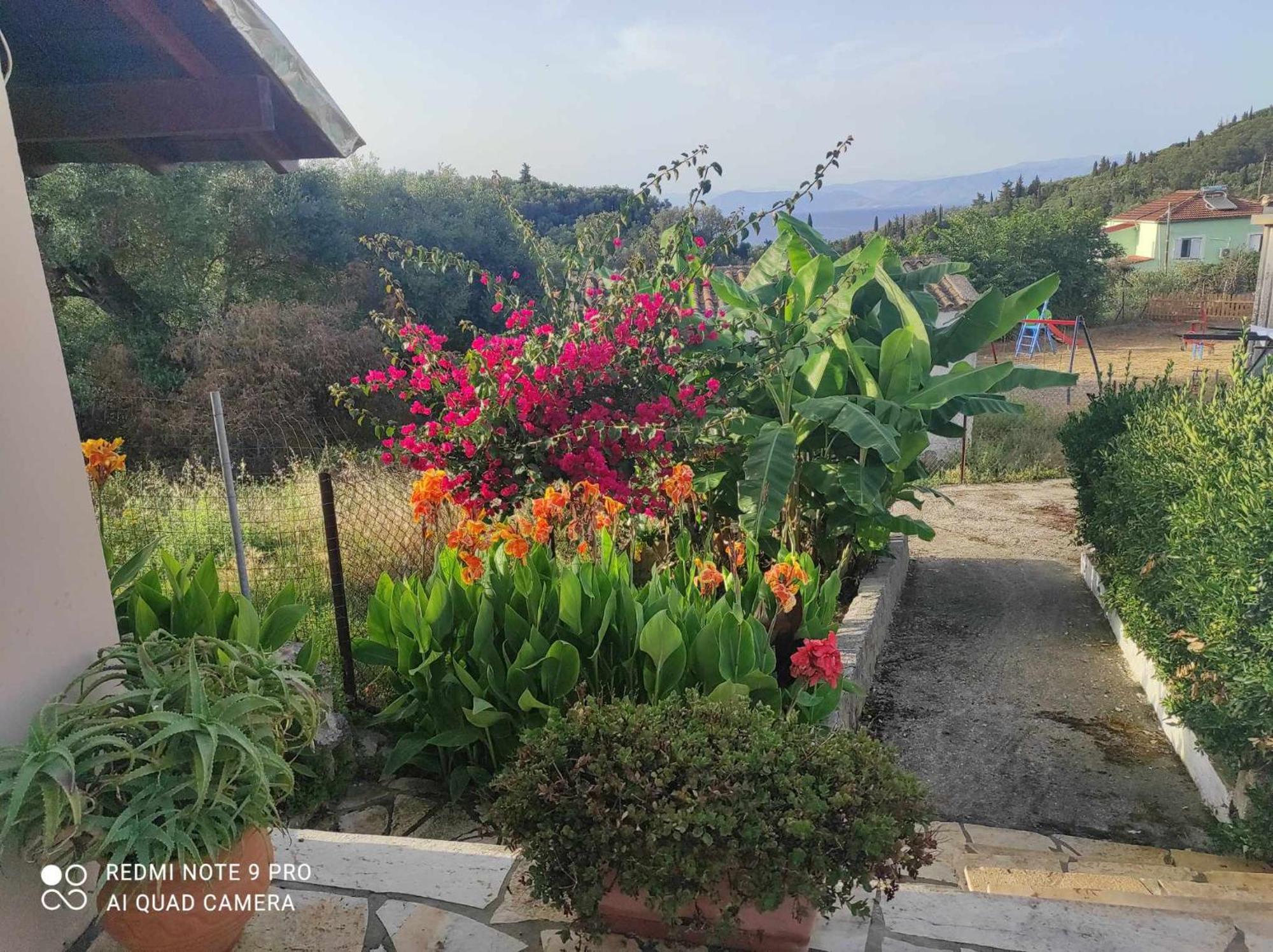 Aglaia House Holiday home